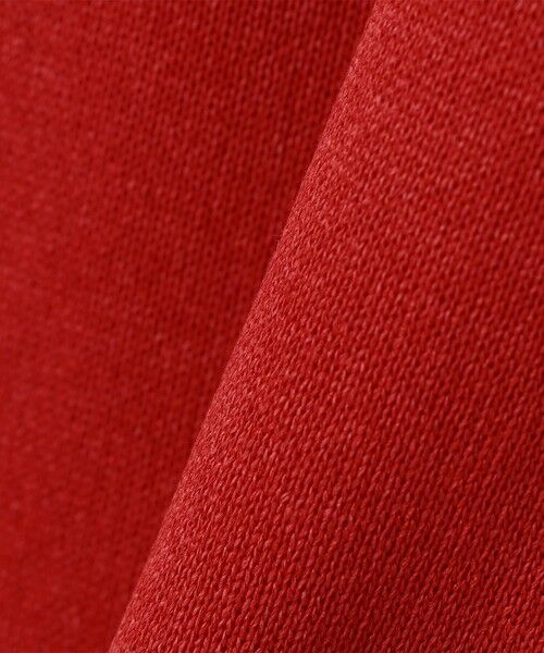 SHIPS / シップス ポロシャツ | 【City Ambient Products別注】crepuscule: WASHI SKIPPER ニットポロ | 詳細2