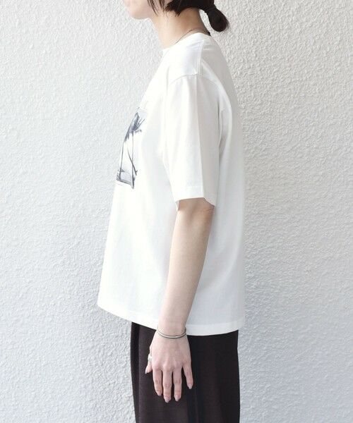SHIPS / シップス Tシャツ | 《予約》SHIPS Colors:〈接触冷感・UVカット・洗濯機可能〉PALM フォト TEE◆ | 詳細3