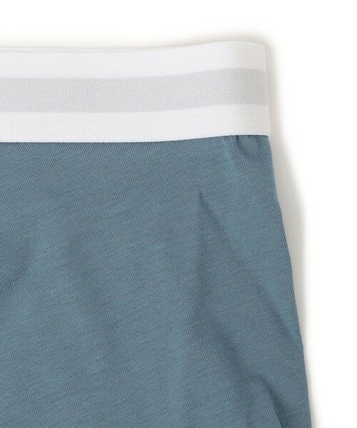 SHIPS / シップス ボクサーパンツ・ブリーフ | FRUIT OF THE LOOM: ベーシック ボクサー パンツ | 詳細2