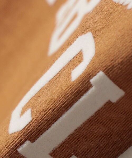 SHIPS / シップス Tシャツ | Mixta:〈洗濯機可能〉MIXTIGER プリント TEE | 詳細20