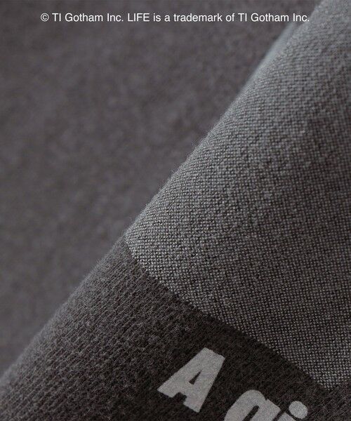 SHIPS / シップス Tシャツ | GOOD ROCK SPEED:〈洗濯機可能〉LPC ロゴ フォト プリント TEE | 詳細2