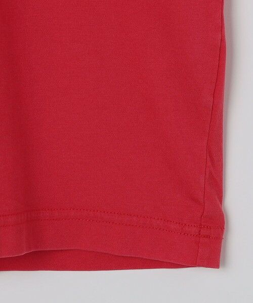 SHIPS / シップス Tシャツ | THE NORTH FACE: GAR TYPOGRAPHIC COLORED SHORT SLEEVE | 詳細5