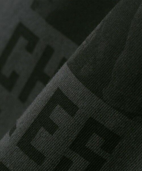 SHIPS / シップス Tシャツ | ILL180°: CHARLES PETERSON S/S TEE MUD 2 | 詳細6