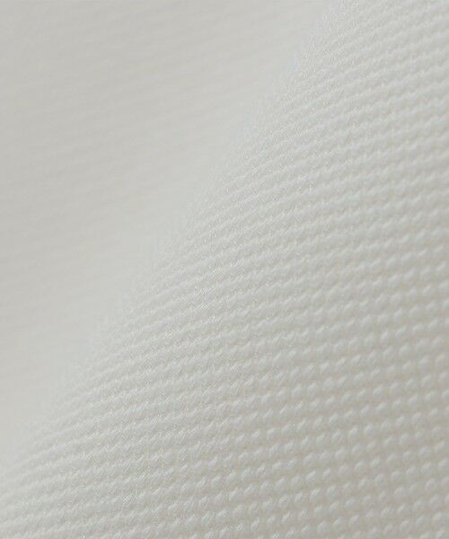 SHIPS / シップス ポロシャツ | 【WEB限定】SHIPS:〈抗菌・防臭〉ワンポイントロゴ バーズアイ 半袖 ポロシャツ | 詳細7