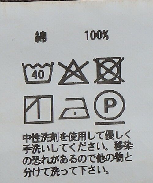 SHIPS / シップス その他パンツ | tone: DOUBLE WIDE SHORTS DUCK | 詳細11