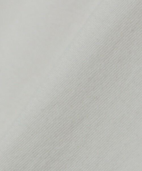 SHIPS / シップス Tシャツ | HANES×SHIPS: 別注New Japan Fit 2P パック Tシャツ(2枚組) | 詳細7