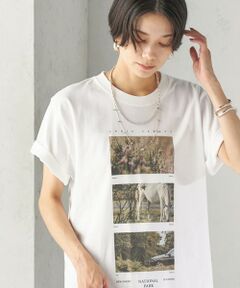 SHIPS / シップス Tシャツ | 《予約》【SHIPS別注】THE C.CORD:〈手洗い可能〉ARTIST TEE（AS）