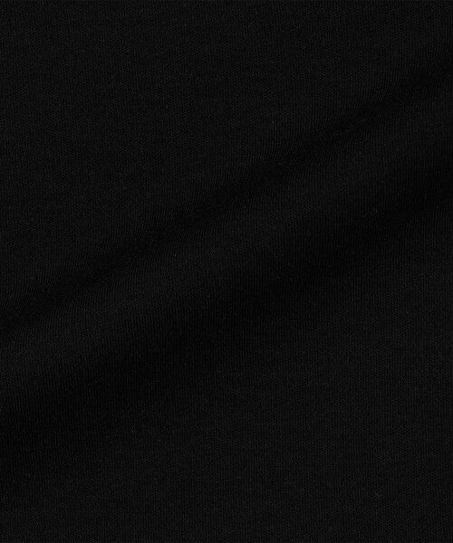 SHIPS / シップス Tシャツ | コットン キュプラ シアー コンビ TEE | 詳細20