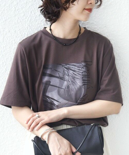 SHIPS / シップス Tシャツ | メルティ コットン フォト プリント TEE（ブラウン）