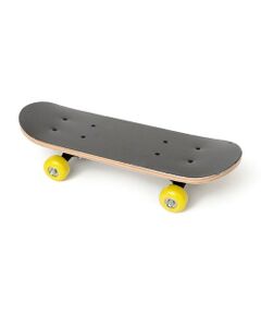 SHIPS / シップス その他 | THE PARK SHOP: SKATEBOARD スケートボード