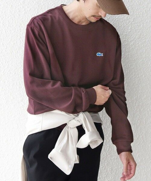 SHIPS / シップス Tシャツ | 【SHIPS any別注】LACOSTE: ワンポイント ピケ クルーネック Tシャツ 26AW (ロンT)◆ | 詳細17