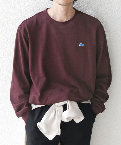 SHIPS / シップス Tシャツ | 【SHIPS any別注】LACOSTE: ワンポイント ピケ クルーネック Tシャツ 26AW (ロンT)◆ | 詳細15