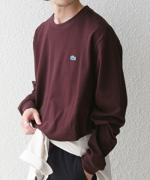 SHIPS / シップス Tシャツ | 【SHIPS any別注】LACOSTE: ワンポイント ピケ クルーネック Tシャツ 26AW (ロンT)◆ | 詳細16