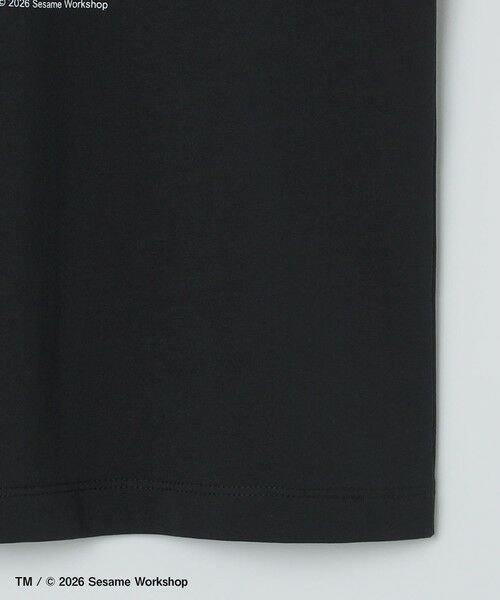 SHIPS / シップス Tシャツ | 【City Ambient Products別注】: SESAME STREET Tシャツ | 詳細5