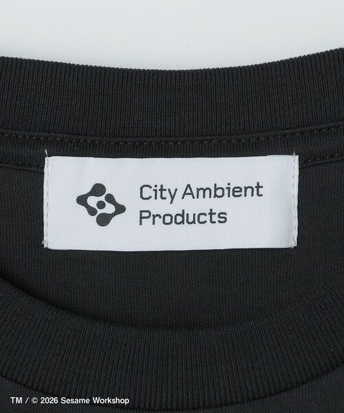 SHIPS / シップス Tシャツ | 【City Ambient Products別注】: SESAME STREET Tシャツ | 詳細6