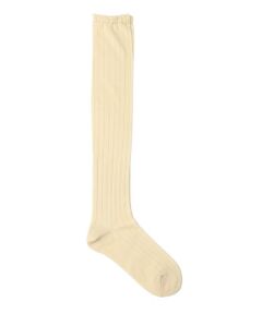 SHIPS / シップス ソックス | Piedi Nudi: メッシュ ストライプ ニー ハイ