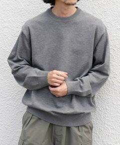 SHIPS / シップス ニット・セーター | SHIPS any:〈手洗い可能〉ウール混 アンチピリング デザインリブ クルーネック ニット◆
