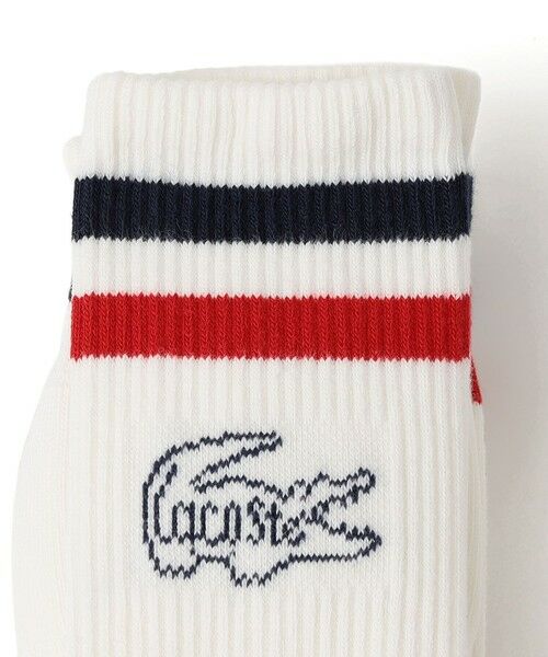 SHIPS / シップス ソックス | LACOSTE: ワニロゴ ライン ソックス 3Pack | 詳細1