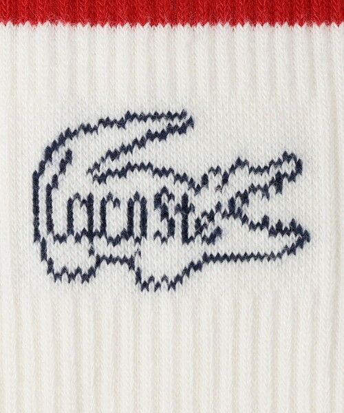 SHIPS / シップス ソックス | LACOSTE: ワニロゴ ライン ソックス 3Pack | 詳細3