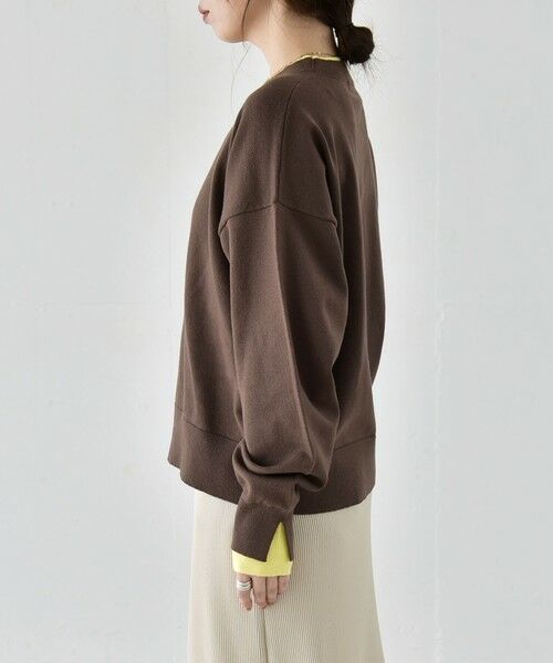 SHIPS / シップス ニット・セーター | 《予約》〈手洗い可能〉配色 レイヤードライク クルーネック ニット プルオーバー | 詳細30