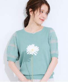 SHOO・LA・RUE / シューラルー ニット・セーター | 【S-LL】大人上品な お袖シアー切り替えニット