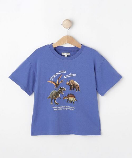 SHOOELAERUE/V[[ y100-150cmzhJS]ʃvgBOYSTVc u[(093) 15(150cm)