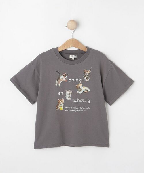 SHOOELAERUE/V[[ y100-150cmzhJS]ʃvgGIRLSTVc `R[O[(014) 10(100cm)