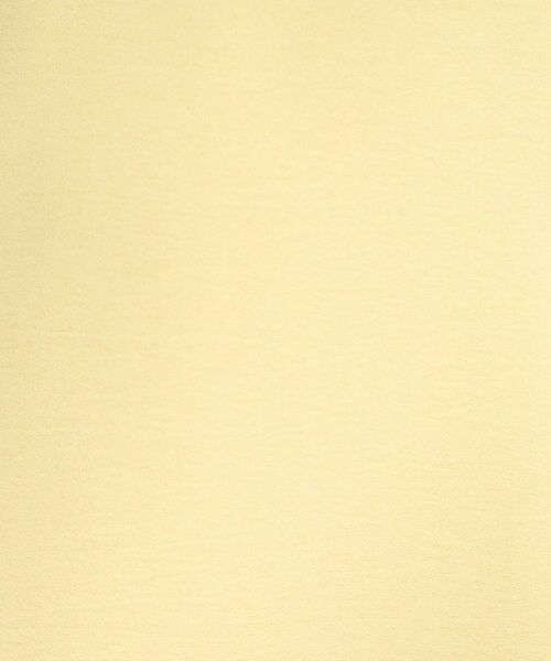 SHOO・LA・RUE / シューラルー シャツ・ブラウス | 【洗濯後しわになりにくい】さらっとタッチの 5分袖ドルマンブラウス | 詳細20