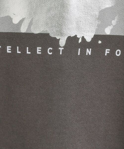 SHOO・LA・RUE / シューラルー スウェット | 【S-LL】選べる4柄 グラフィックアソート裏毛スウェット | 詳細19