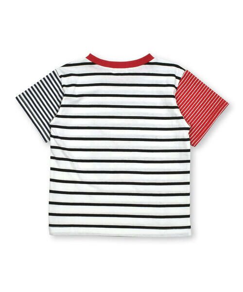 SLAP SLIP / スラップ スリップ Tシャツ | 夏満喫いきものプリントボーダー柄半袖Tシャツ(80~130cm) | 詳細4