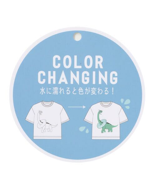 SLAP SLIP / スラップ スリップ Tシャツ | 【水にぬれると色が変わる！？】恐竜水遊びプリントTシャツ(80~130cm) | 詳細13