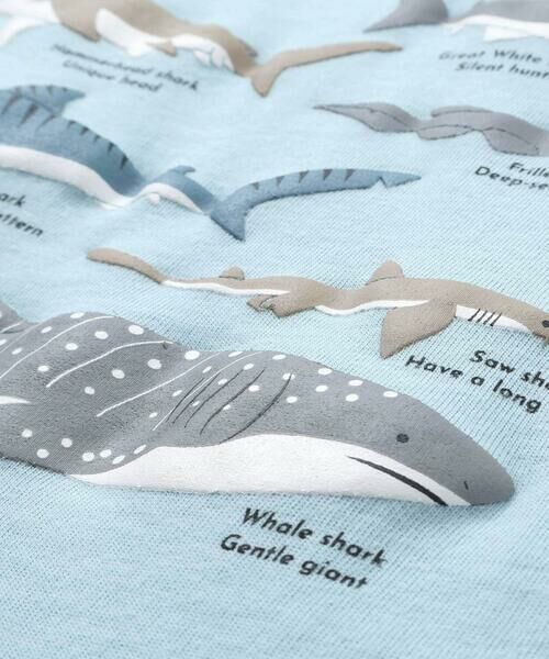 SLAP SLIP / スラップ スリップ Tシャツ | 【吸汗速乾】恐竜サメ図鑑風発泡プリントTシャツ(80~130cm) | 詳細9