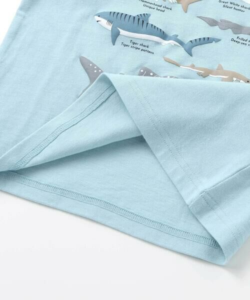 SLAP SLIP / スラップ スリップ Tシャツ | 【吸汗速乾】恐竜サメ図鑑風発泡プリントTシャツ(80~130cm) | 詳細12