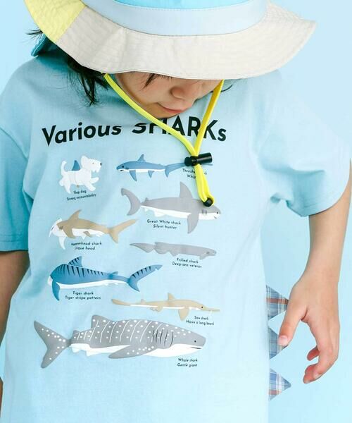 SLAP SLIP / スラップ スリップ Tシャツ | 【吸汗速乾】恐竜サメ図鑑風発泡プリントTシャツ(80~130cm) | 詳細3