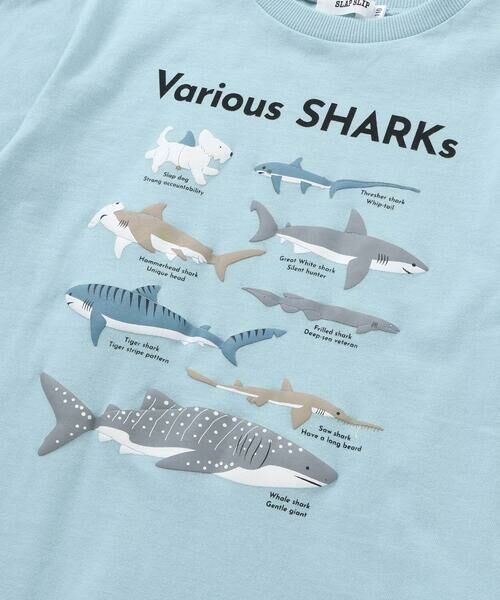 SLAP SLIP / スラップ スリップ Tシャツ | 【吸汗速乾】恐竜サメ図鑑風発泡プリントTシャツ(80~130cm) | 詳細7