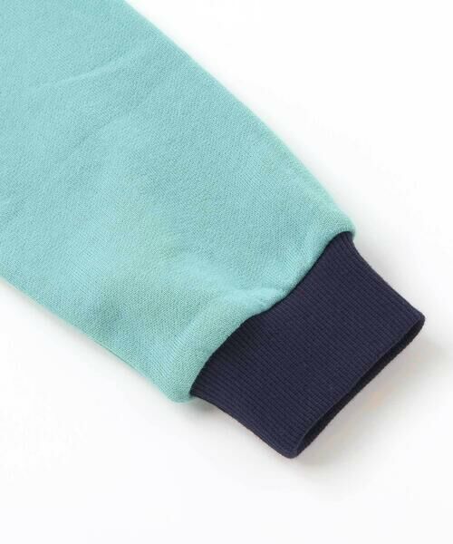 SLAP SLIP / スラップ スリップ スウェット | 無地ボーダーいろんな恐竜刺しゅうトレーナー(80~130cm) | 詳細8