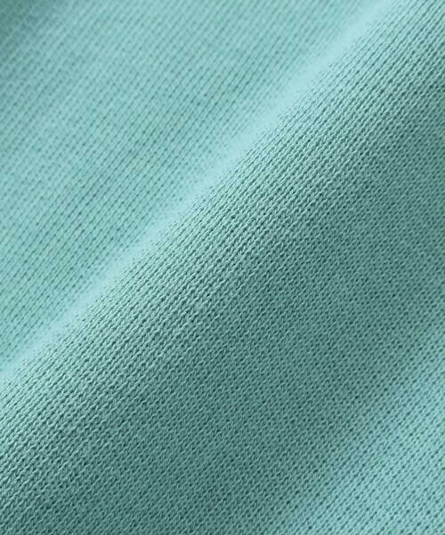 SLAP SLIP / スラップ スリップ スウェット | 無地ボーダーいろんな恐竜刺しゅうトレーナー(80~130cm) | 詳細10