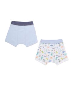 SLAP SLIP / スラップ スリップ ボクサーパンツ・ブリーフ | イヌ恐竜+恐竜総柄ショーツ2点セット