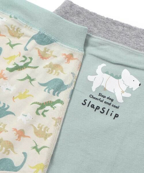 SLAP SLIP / スラップ スリップ ボクサーパンツ・ブリーフ | イヌ恐竜+恐竜総柄ショーツ2点セット | 詳細9