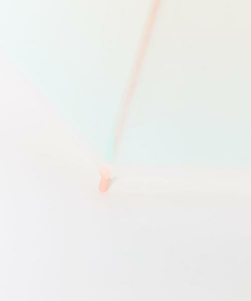 SMELLY / スメリー 傘 | グラデーションEVAビニール傘 | 詳細17