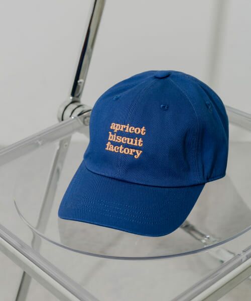 ＊＊SMELLY / スメリー キャップ | カラーロゴキャップ（NVY）