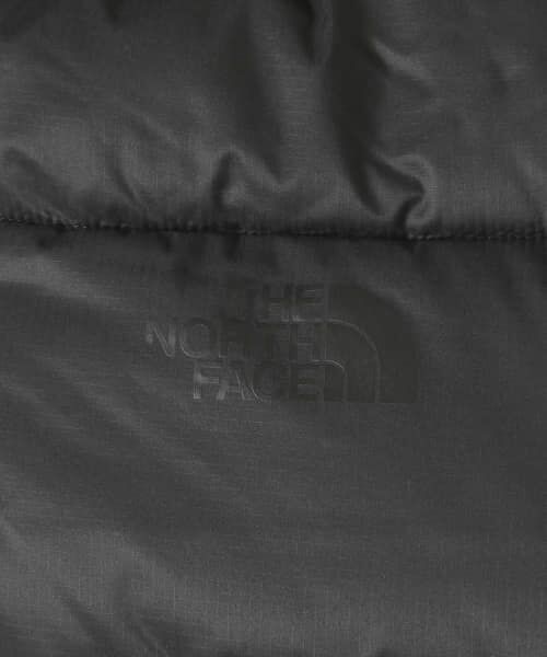 Sonny Label / サニーレーベル ダウンジャケット・ベスト | THE NORTH FACE　CAMP Sierra Long Coat | 詳細8