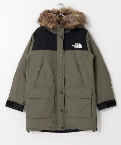 the north face mountain down coat