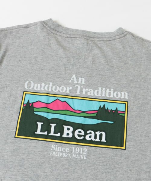 Sonny Label / サニーレーベル Tシャツ | L.L.Bean　Unshrinkable Graphic T-Shirts | 詳細19