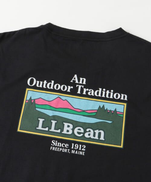 Sonny Label / サニーレーベル Tシャツ | L.L.Bean　Unshrinkable Graphic T-Shirts | 詳細20