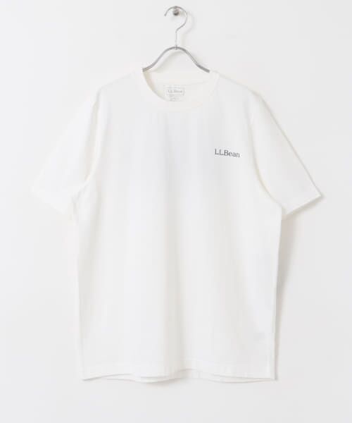 Sonny Label / サニーレーベル Tシャツ | L.L.Bean　Unshrinkable Graphic T-Shirts | 詳細9