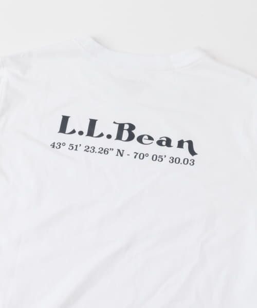 Sonny Label / サニーレーベル Tシャツ | L.L.Bean　Organic Cotton Graphic T-Shirts | 詳細14
