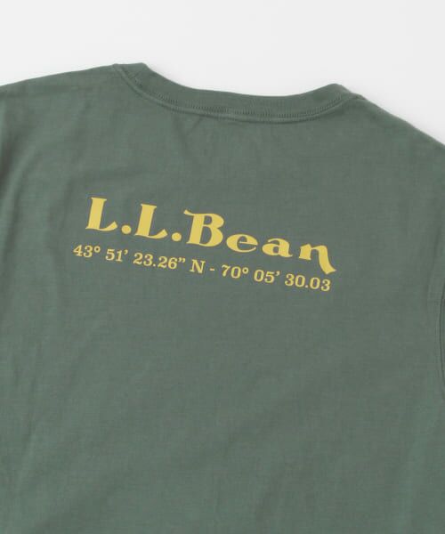Sonny Label / サニーレーベル Tシャツ | L.L.Bean　Organic Cotton Graphic T-Shirts | 詳細15