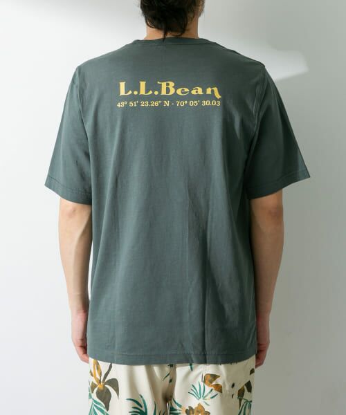 Sonny Label / サニーレーベル Tシャツ | L.L.Bean　Organic Cotton Graphic T-Shirts | 詳細4