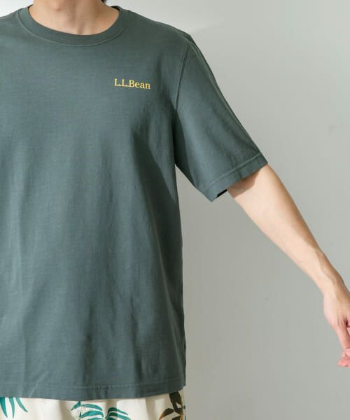 Sonny Label / サニーレーベル Tシャツ | L.L.Bean　Organic Cotton Graphic T-Shirts | 詳細5